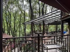 -巴倒烫陆派火锅山庄(南山总店)