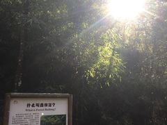 -广州市石门国家森林公园