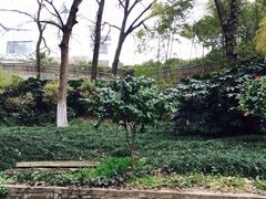 华东疗养院-上海市保健医疗中心(华东疗养院)