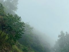 -广州市石门国家森林公园