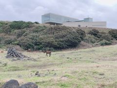 -涉地可支