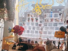 -平行世界·猫咖(首经贸店)