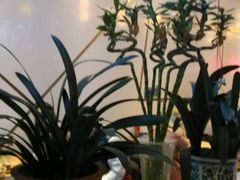 -牛王庙(桥头街店)