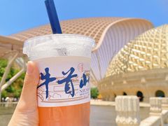 -牛首山文化旅游区