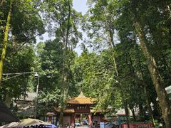 -凤栖山