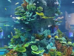 -福州罗源湾海洋世界旅游区