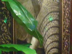 -Siam泰餐厅(水上公园店)