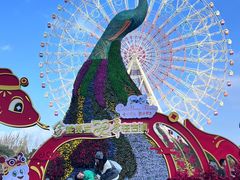 -七彩云南欢乐世界