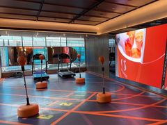 -桔子酒店(上海西藏北路地铁站店)