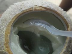 -芽庄中心购物广场
