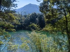 -广州市流溪河国家森林公园