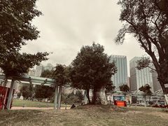 -花果园湿地公园