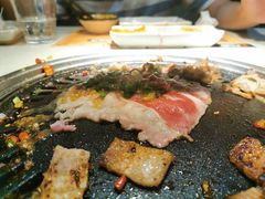 -猫爪爪原切自助烤肉(观音桥阳光世纪店)