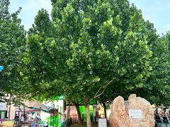 -天津五大道文化旅游区