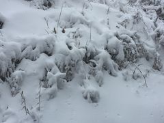 -西岭雪山大飞水景区