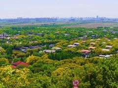 -上海佘山国家森林公园西佘山园