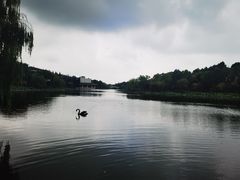 -上海怡沁园度假酒店