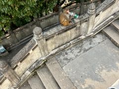 -苏州上方山国家森林公园
