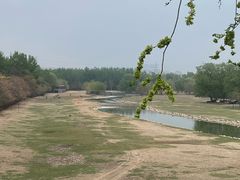 -北京麋鹿生态实验中心