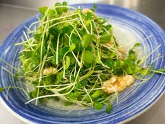 桃仁香椿苗-大草原清真饭庄(沙河店)