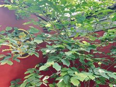 -西安市广仁寺