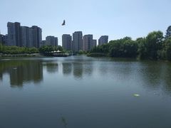 -新江湾城公园