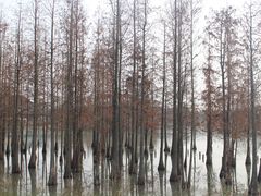 -白鹭湾湿地公园