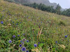 -白草畔自然风景区