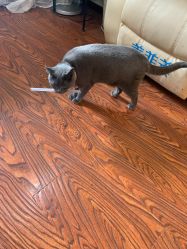 -Miss·A日式美甲美睫