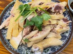 -九斤黄三黄鸡专卖店