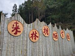 -林坑古村落