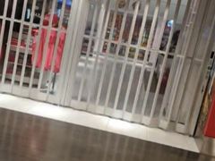 -蒙特利尔皮埃尔·埃利奥特·特鲁多国际机场