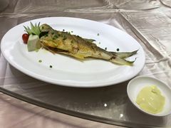 -东方御宴海鲜酒楼(棕泉酒店)
