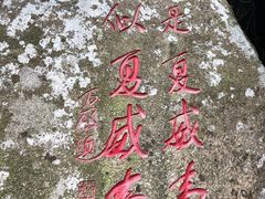 -亚龙湾热带天堂森林公园