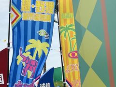 -野狸岛
