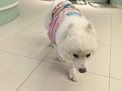 -怪兽屋·羊驼·猫咖·狗咖(俊华广场店)
