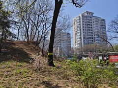 -元大都城垣遗址公园