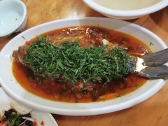 -老字号怡玺·藿香雅鱼(20年雅安店)