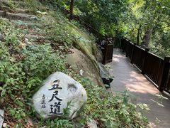 -南山植物园