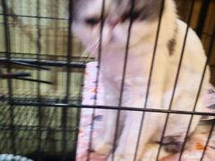 -四季暖堂·融合江浙菜(N1955创业园店)