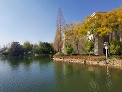 -抚仙湖万达文华酒店