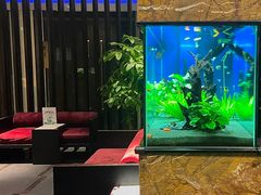 -松临·铁板烧&Omakase(神农店)