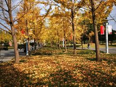 -中国计量大学(西校区)