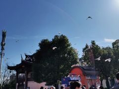 -合肥融创乐园