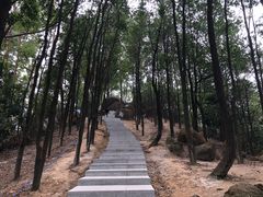 -火炉山森林公园