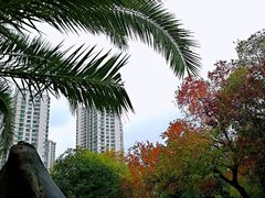 -苏州河梦清园环保主题公园