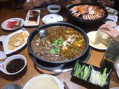 -南山渔美蛙鱼·老鸭汤·火锅(成都大邑店)