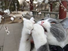 -二一九公园