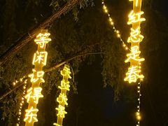 -万泉公园