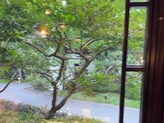 -杭州西湖柳莺里酒店·闻莺厅